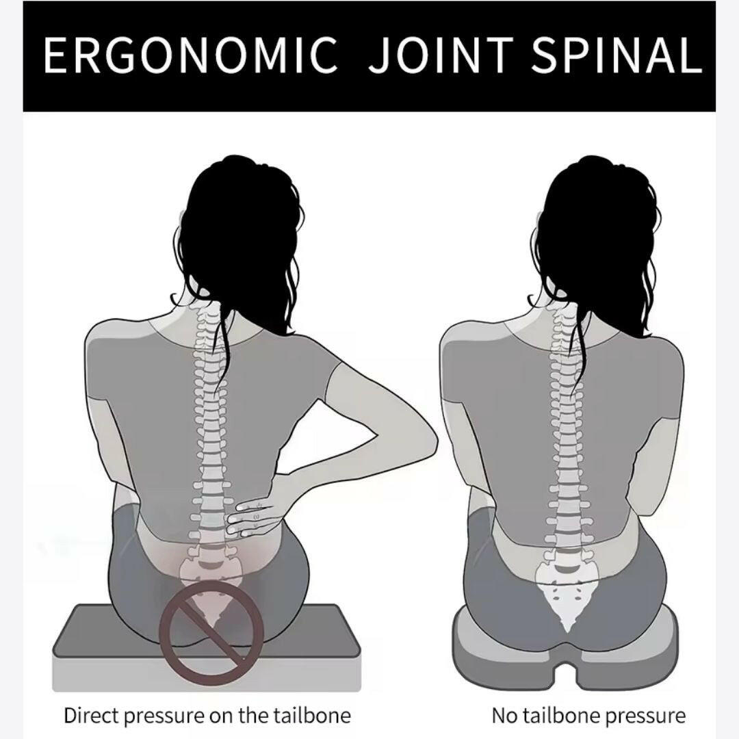 Medvance Orthopedic Coccyx Cushion, Mesh Black - Medvance Surgicals